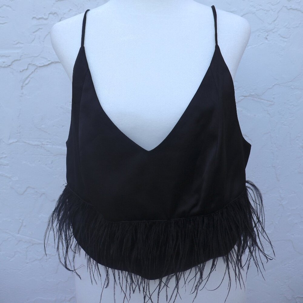 WAYF Cropped Feathered Top Worn Once